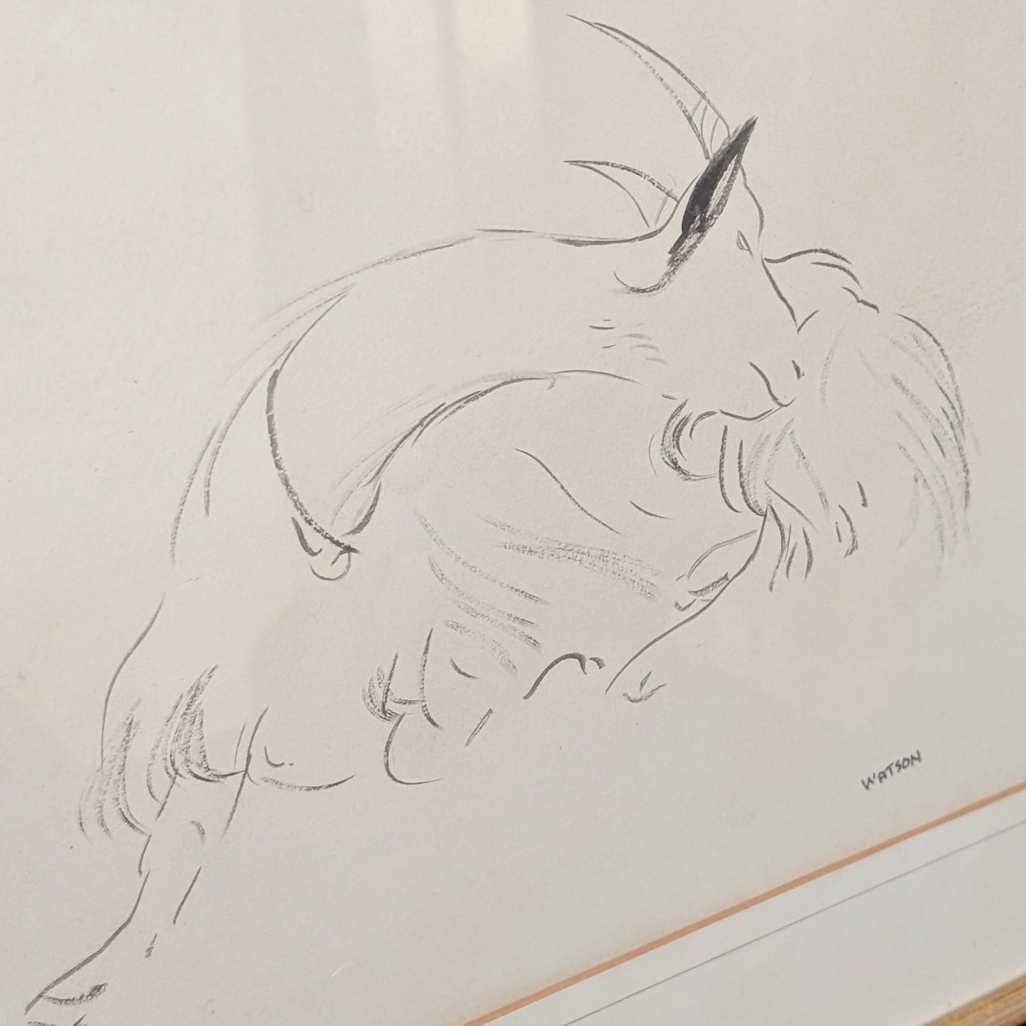 Percy Watson (Australian, 1919-1995) 'Goat Study'