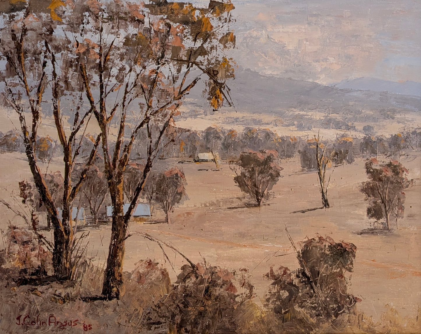 John Colin Angus 'Arid Pastures', Oil