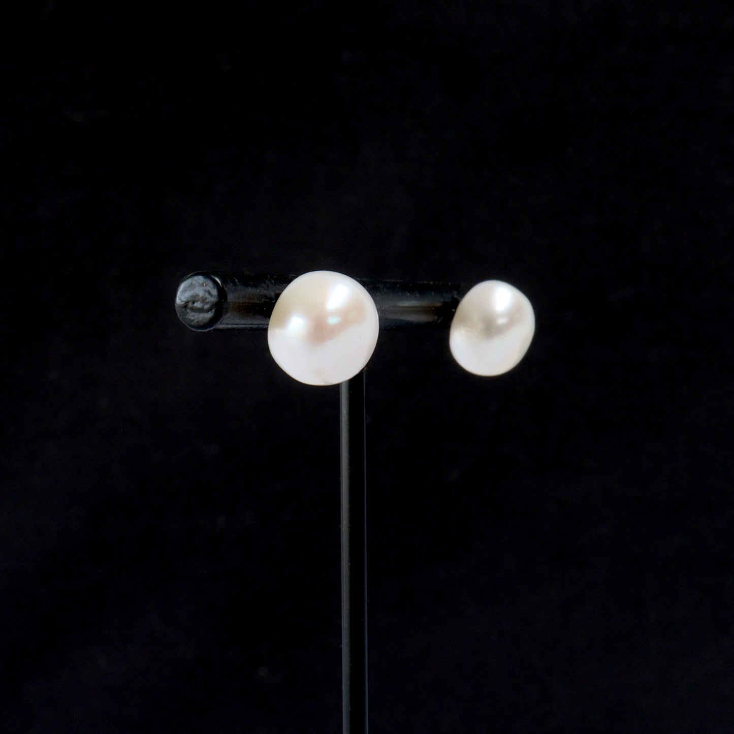 Cultured Freshwater Button Pearl Studs in Sterling Silver