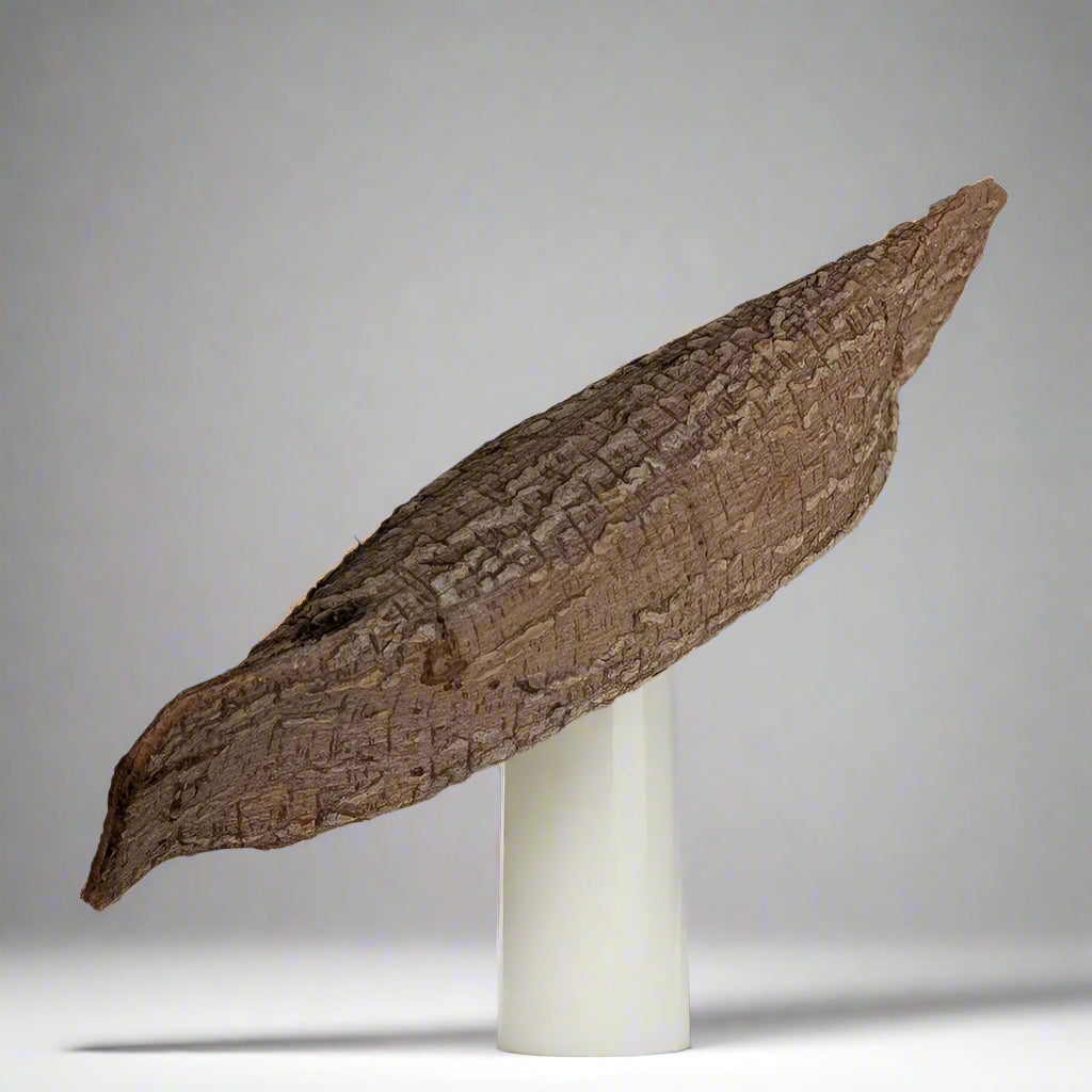 A Saugeen First Nations Birchbark Canoe Model, c1960