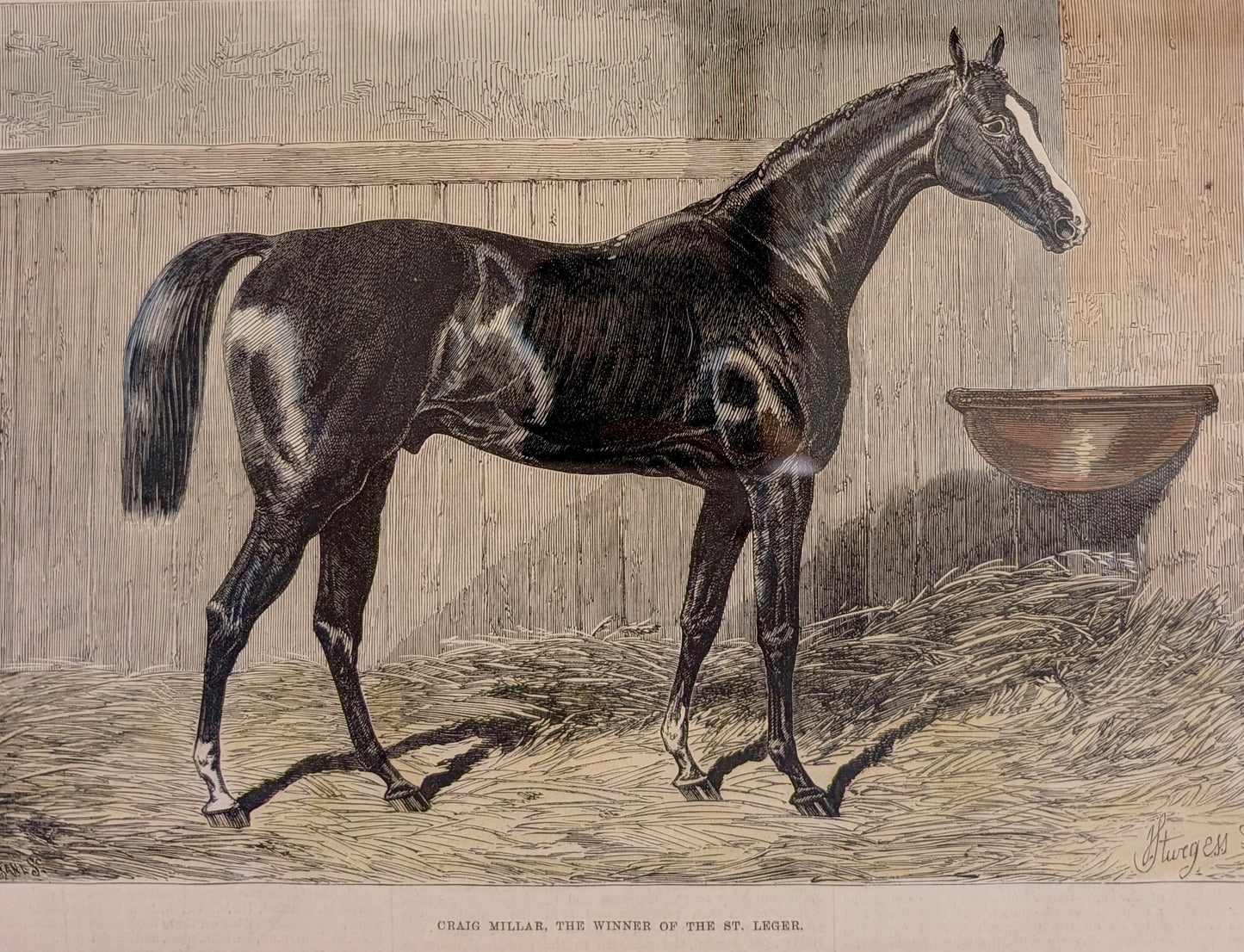 Hand Coloured 'Horse Racing' Woodblock Engraving, c1875