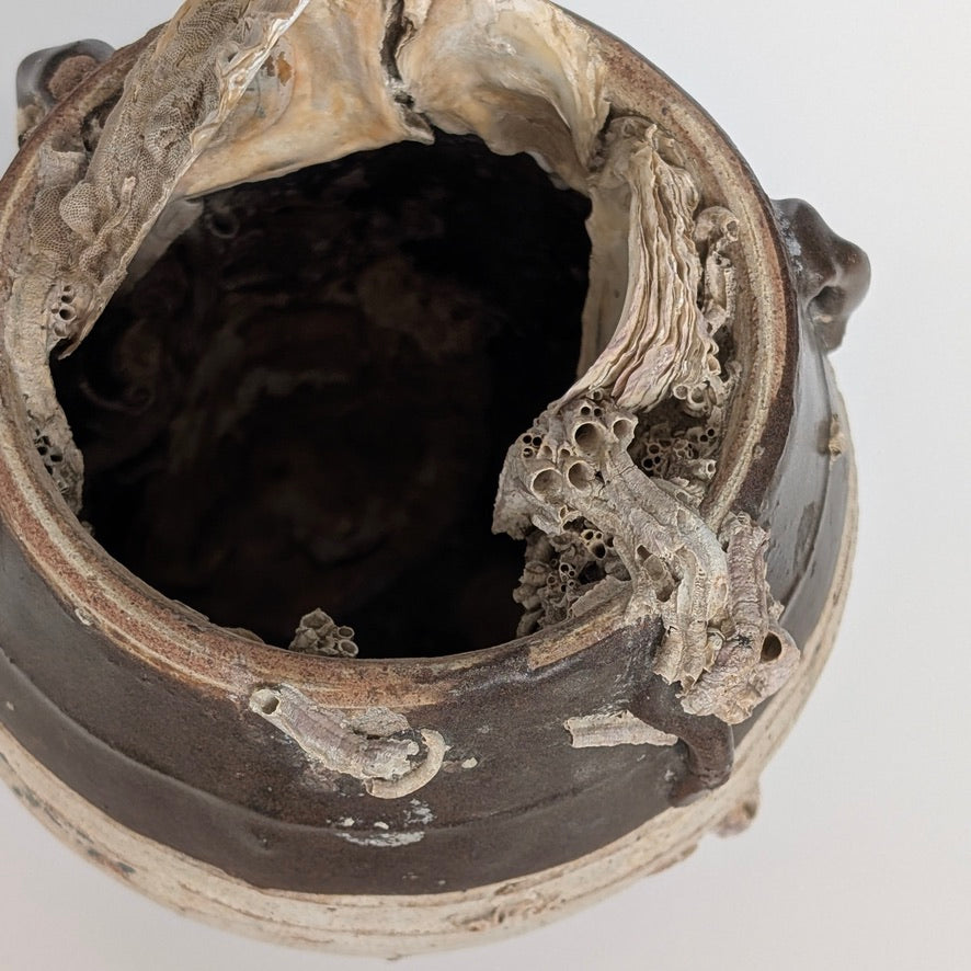 A Chinese Shipwreck Jar, Five Dynasties Period, circa 900 AD