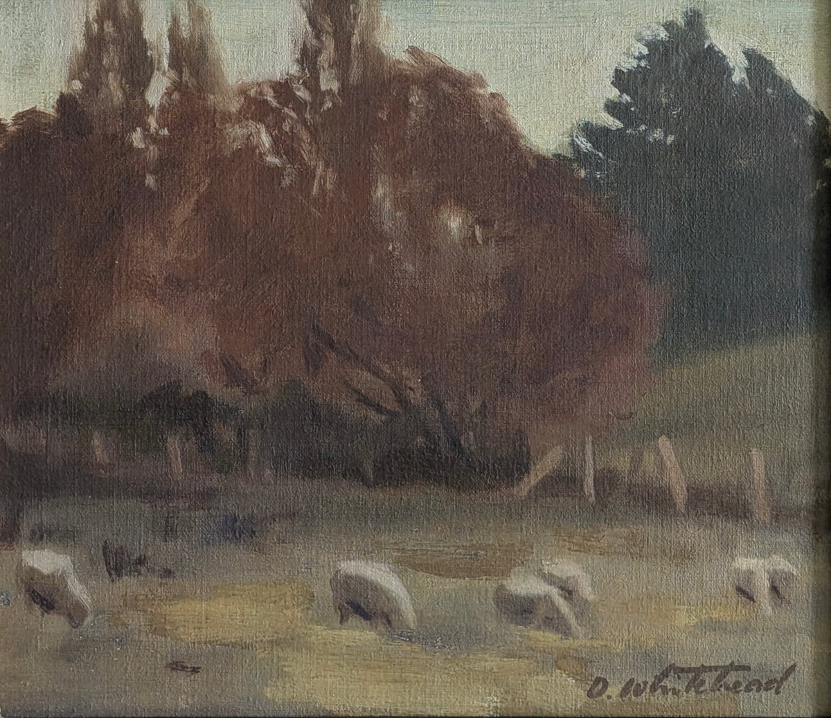 Dorothy Whitehead (1900-1995) "Sheep Grazing" Oil, c1927