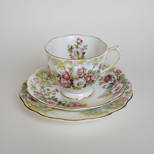 Royal Albert "Wild Rose" Bone China Teacup Trio