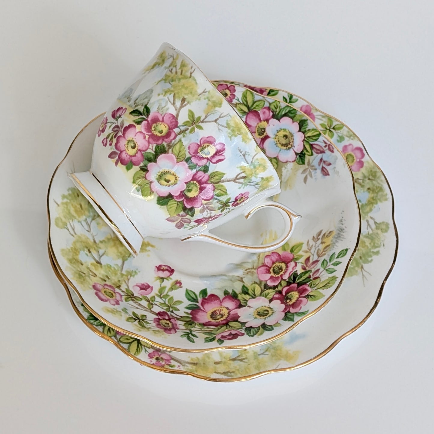 Royal Albert "Wild Rose" Bone China Teacup Trio