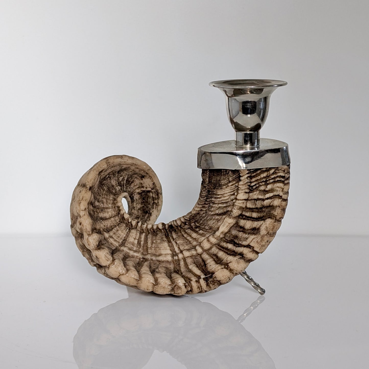 Natural Ram's Horn Candle Holder