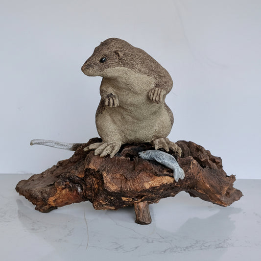 An Australian Pottery 'Rakali' Sculpture by Heather Ellis