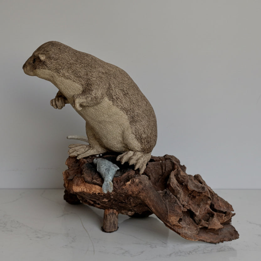 An Australian Pottery 'Rakali' Sculpture by Heather Ellis