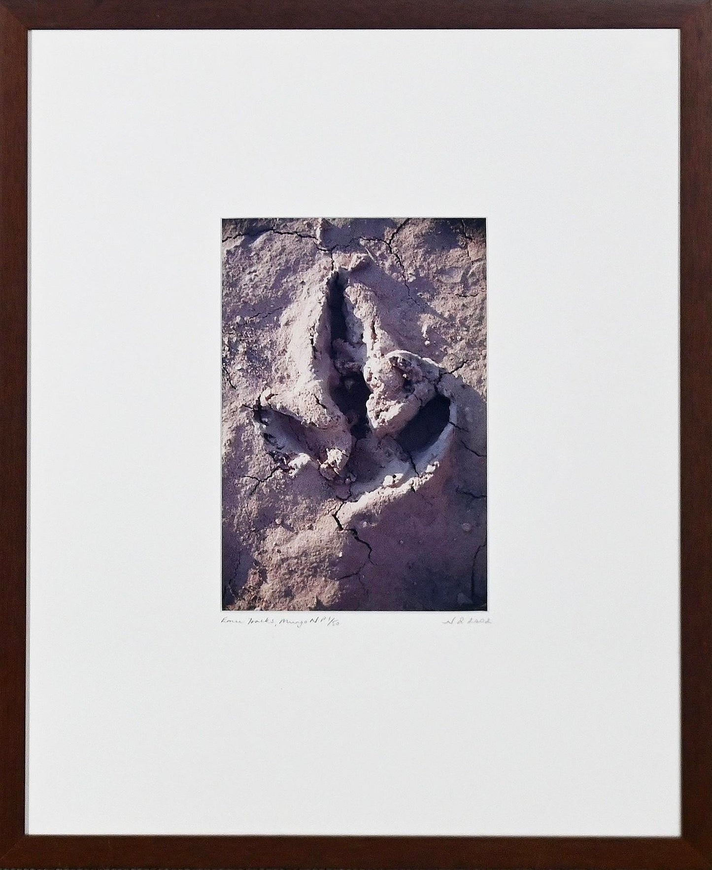 Natasha Blankfield 'Emu Tracks - Mungo National Park', 2002