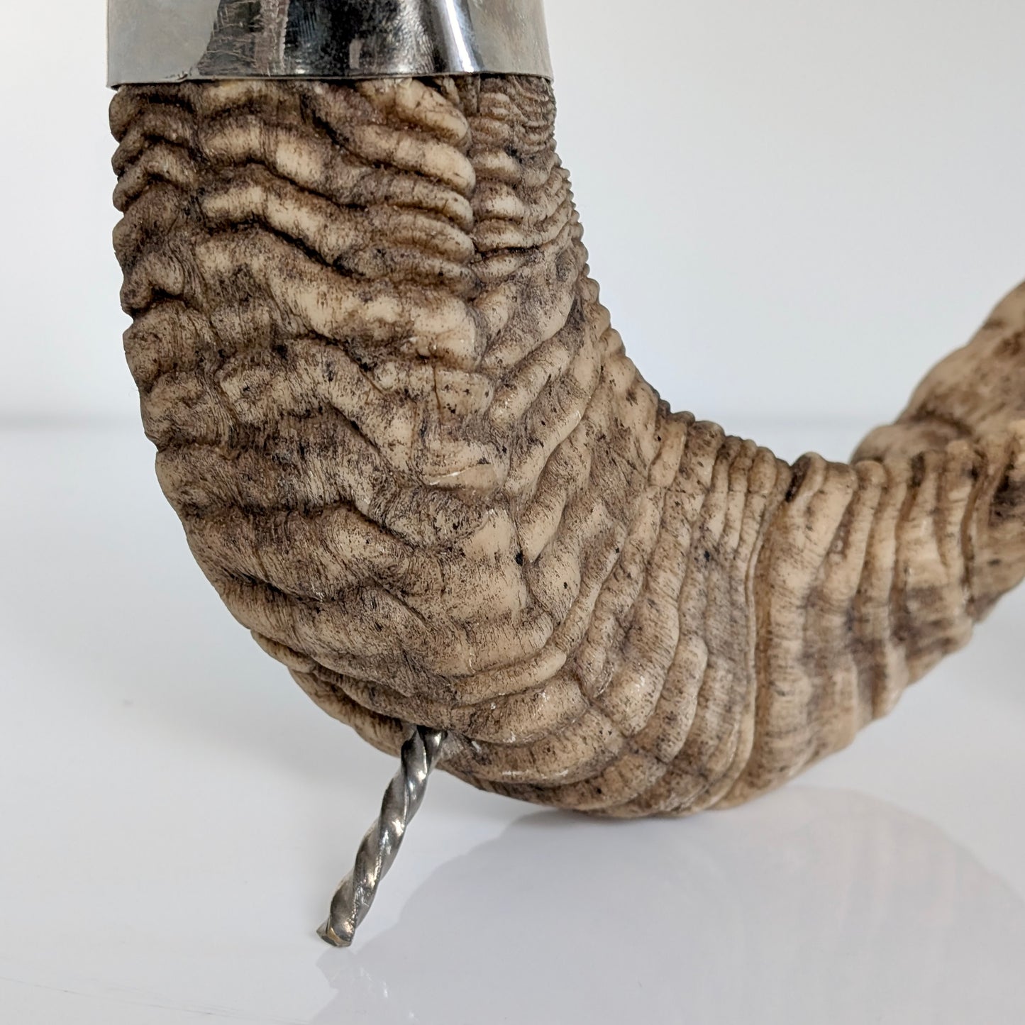 Natural Ram's Horn Candle Holder