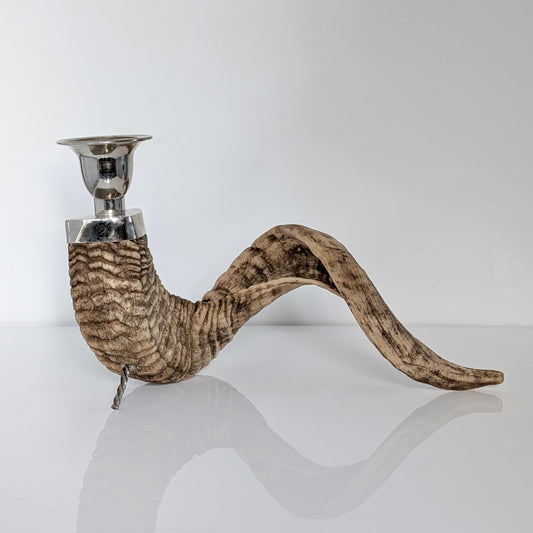 Natural Ram's Horn Candle Holder