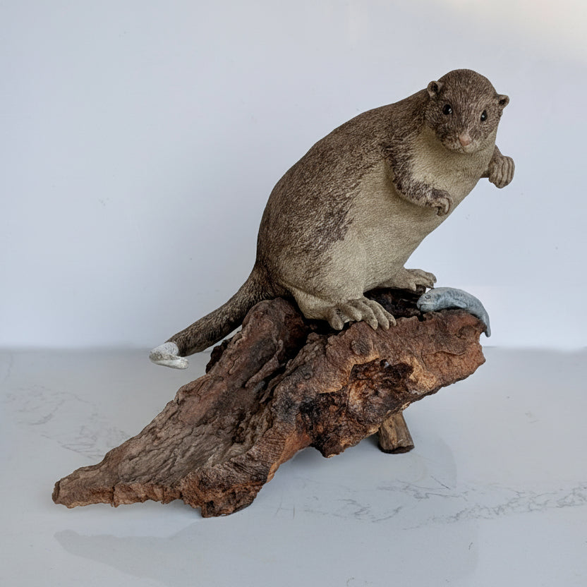 An Australian Pottery 'Rakali' Sculpture by Heather Ellis