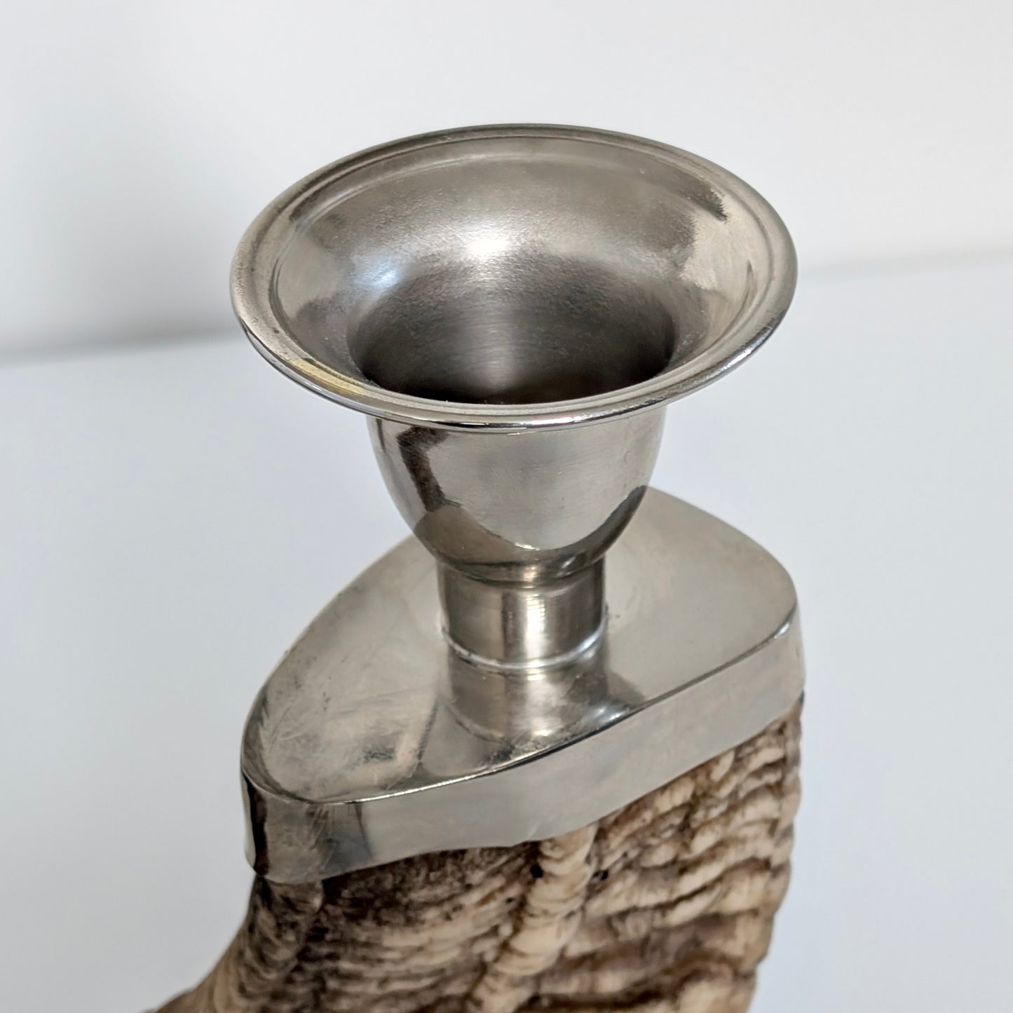 Natural Ram's Horn Candle Holder
